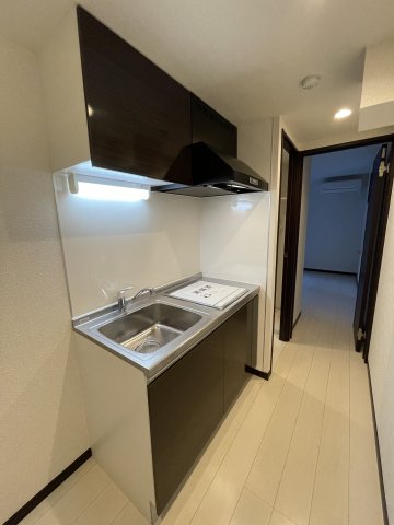 ダイヤモンドテラス川崎新町A203号室 キッチン