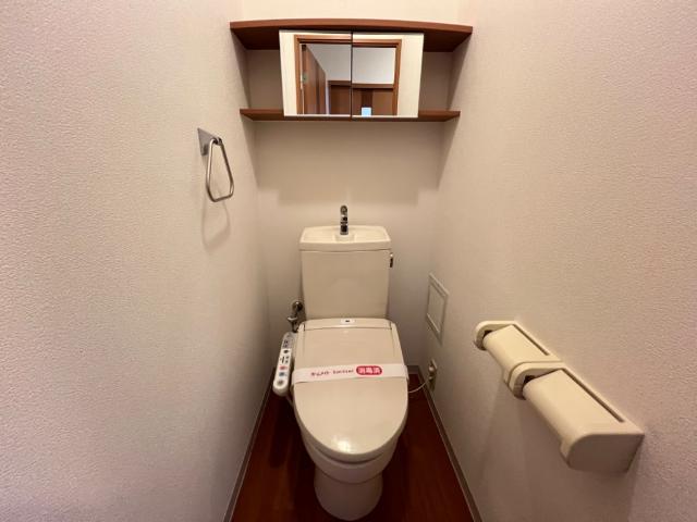 サン・キャッスル205号室 シャワー付トイレ