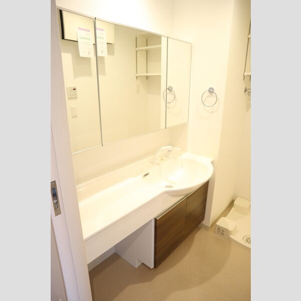 ラフレ東川口201号室 大型洗髪洗面化粧台