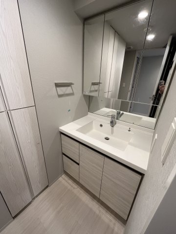 びゅうリエットグラン新宿戸山104号室 洗面