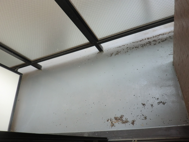 グランディオール白楽0207号室 バルコニー