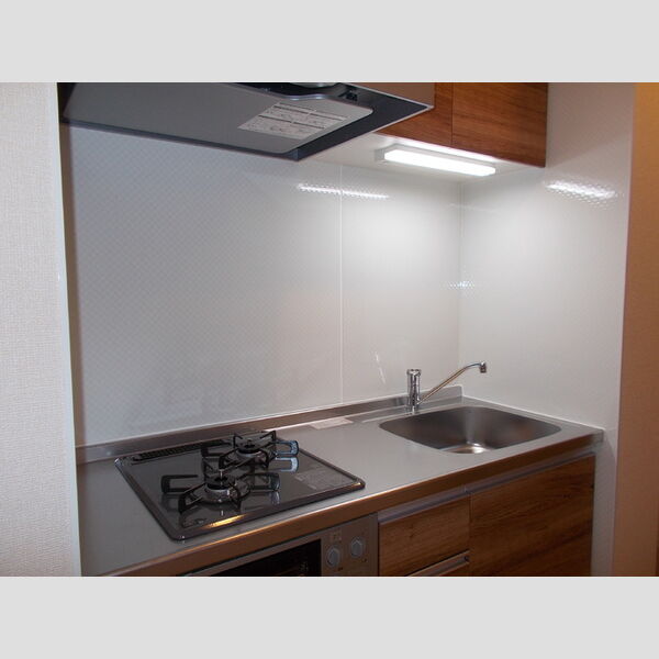 エスポワール南太田201号室 システムキッチン