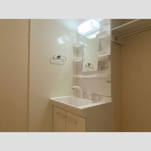 アムール東向島101号室 洗髪洗面化粧台