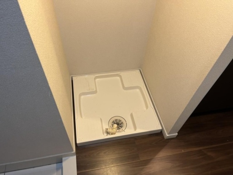 レグラス横浜吉野町 室内洗濯機置場