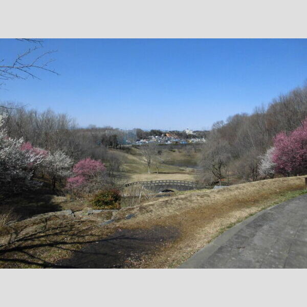 シティハウス 栃谷公園(800m)