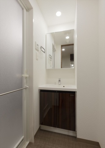 DIPS南六郷2205号室 洗面