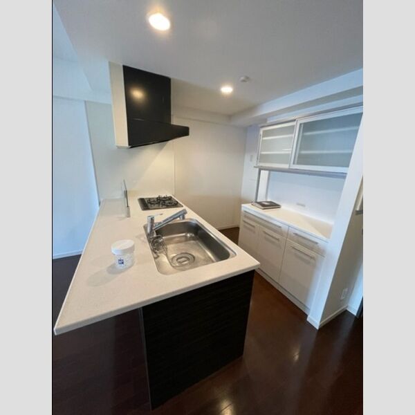 ロイヤルパークス西新井1025号室 部屋その他