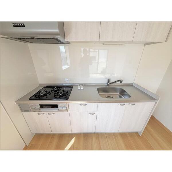 スミノ藤沢801号室 キッチン