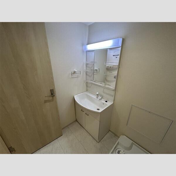 リーブルファイン谷在家302号室 洗面