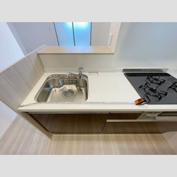 ルリアン北小岩Ⅱ302号室 シンク