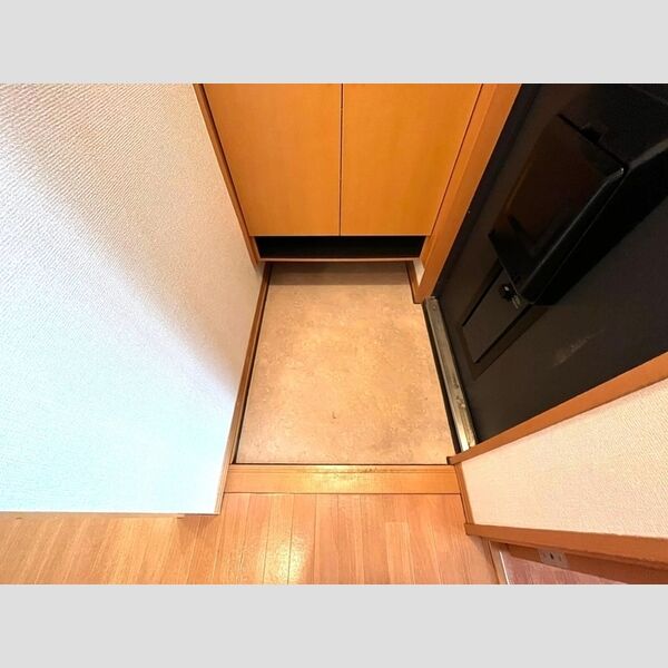 サンテラス 玄関