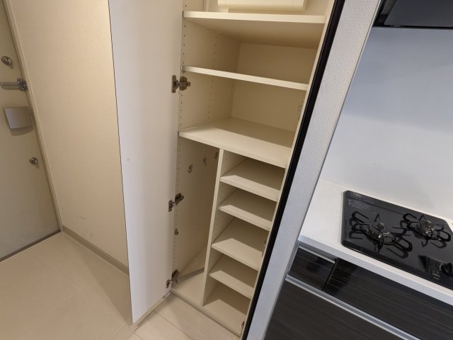 ケーディーエックスレジデンス豊洲710号室 収納