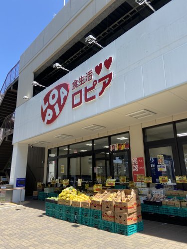 下高井戸戸建て 【スーパー】ロピア松原店まで190ｍ