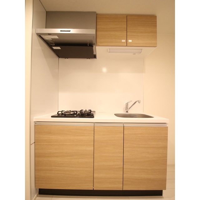 プレール・ドゥーク赤塚202号室 システムキッチン