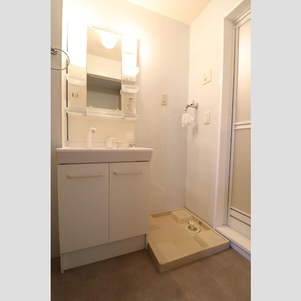 トレビナ中浦和301号室 洗面