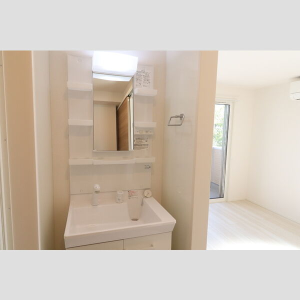 フラーリッシュ203号室 洗髪洗面化粧台