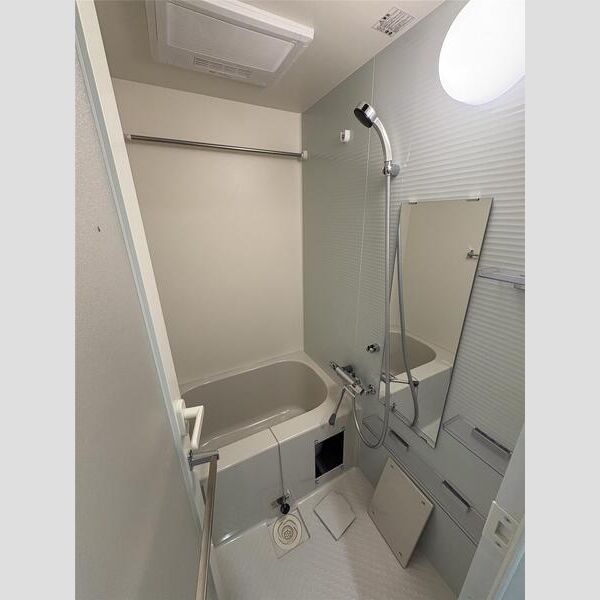 MAXIV横浜吉野町TRE305号室 洗面