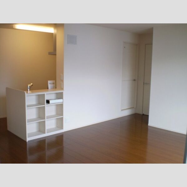 セレナ東海岸北A201号室 対面カウンターキッチン(収納棚)