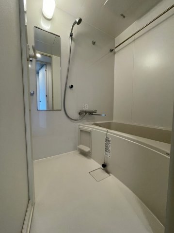 DIPS赤羽RESIDENCE304号室 お風呂