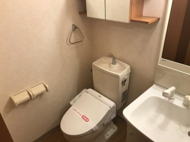 ヒーリングカーサⅡ トイレ