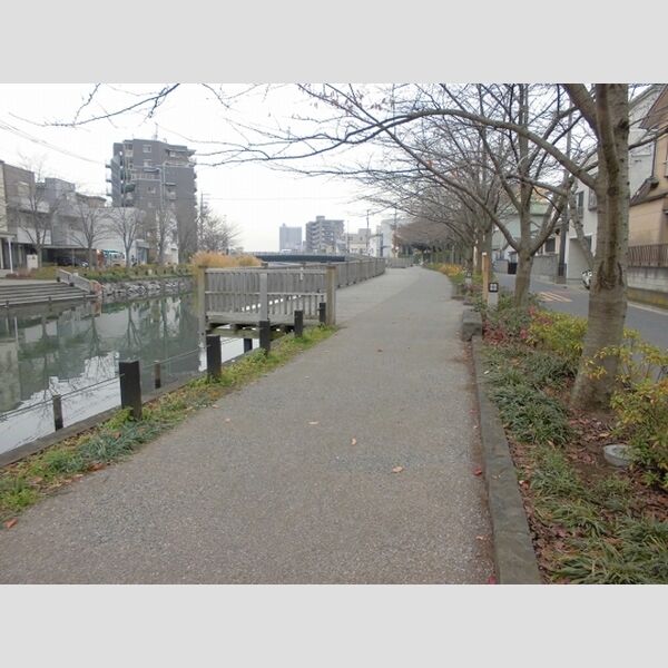 ロイヤルハイツⅡ 周辺