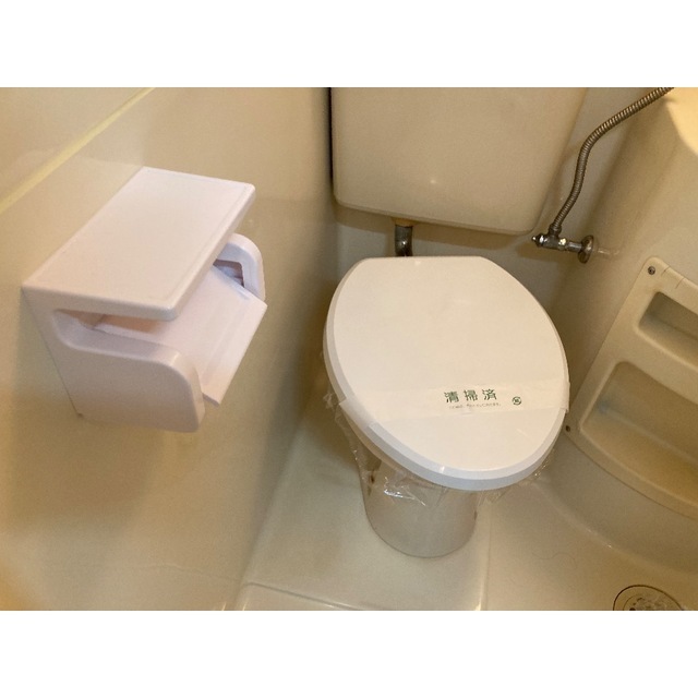 ジュネパレス市川第09103号室 内観