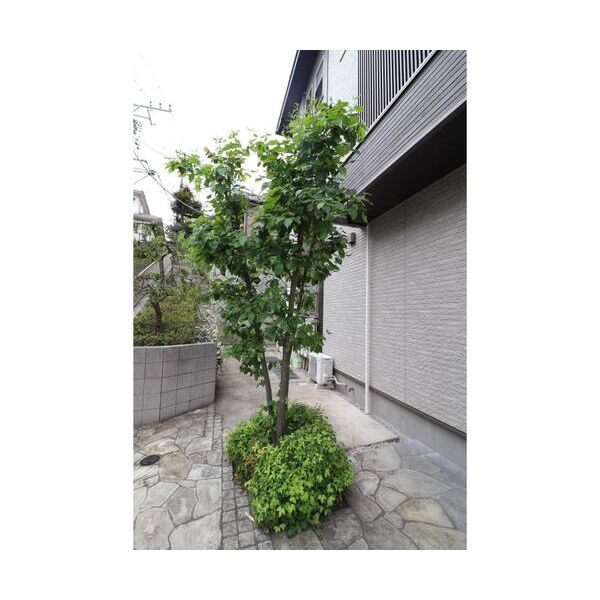 エステート妙蓮寺202号室 部屋その他