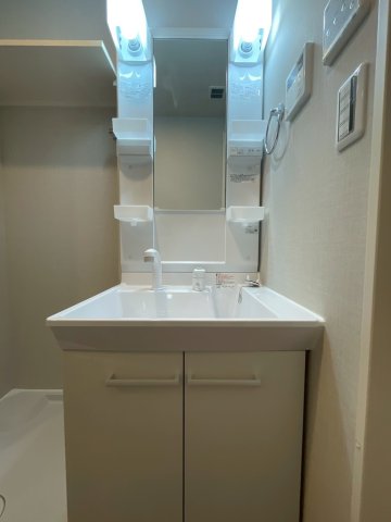 FAIR東向島203号室 洗面