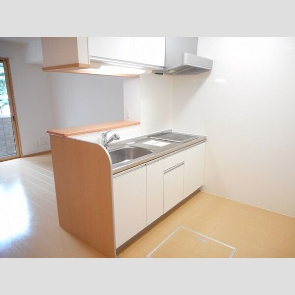 フォレストパル 対面式IHシステムキッチン