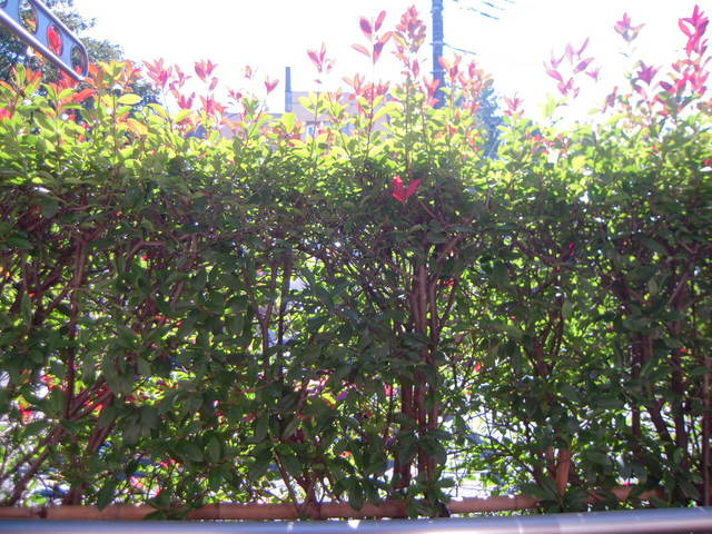 ソフィアⅡ0102号室 展望