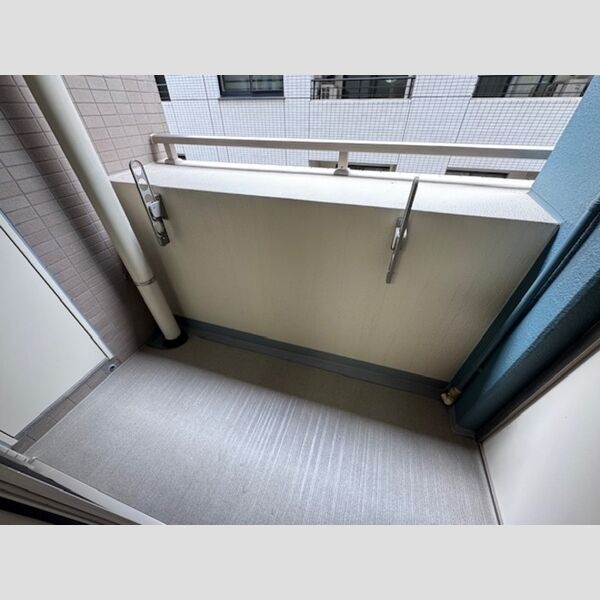 カスタリア銀座Ⅲ バルコニー