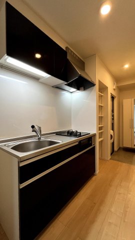 ストレリチア．M202号室 システムキッチンと収納にゆとりがあります