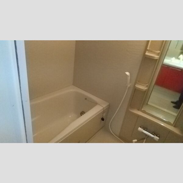 ロイヤルKJ1403号室 浴室