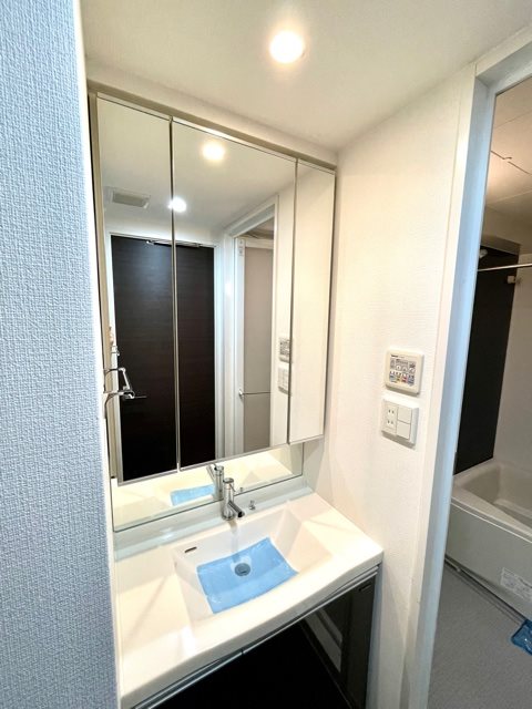 レジディア錦糸町 洗面