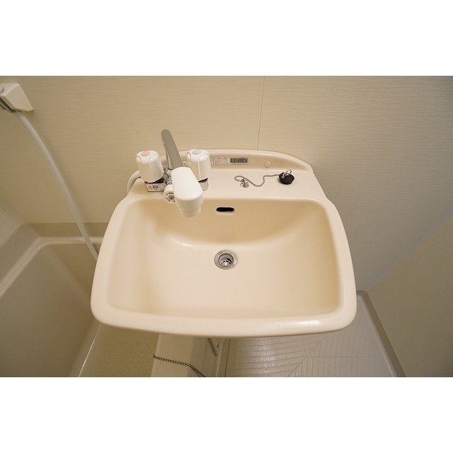 プレミアムバリュー板橋徳丸0401号室 洗面ボール