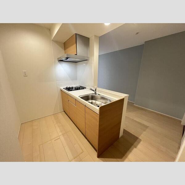 リーブルファイン八王子越野101号室 キッチン