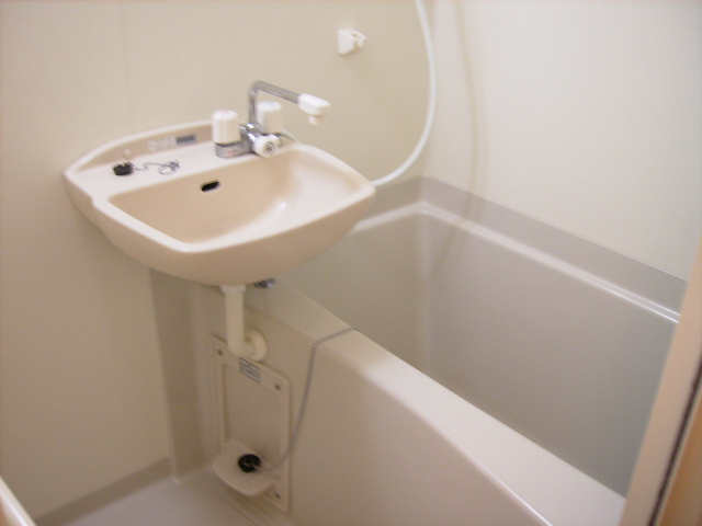 レオパレスカプリコーン２１306号室 部屋その他