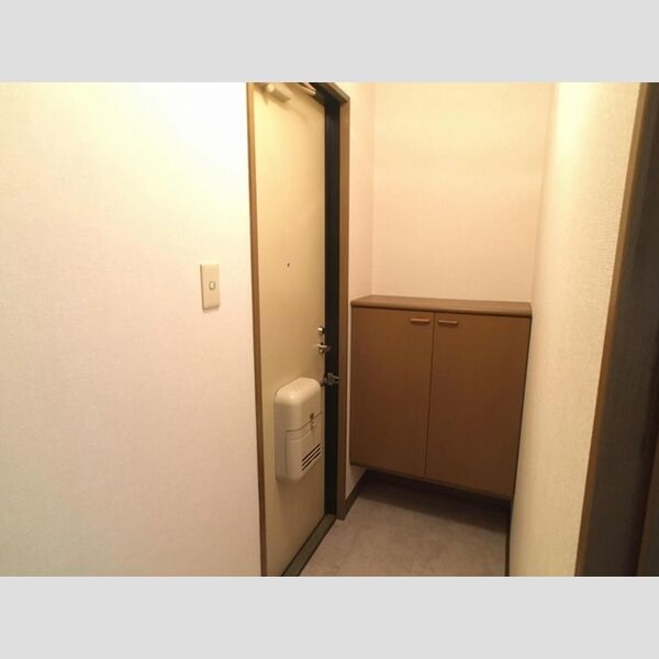 セジュール大島　ABA203号室 玄関部分です。