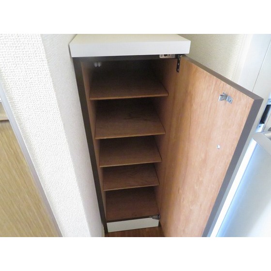 エスイーシー玉川ハイツ0205号室 靴箱