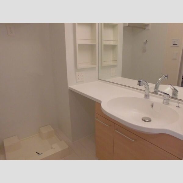 ラマージュⅥ202号室 洗面