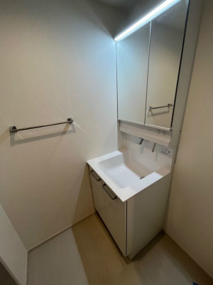 リブリ・ラピスカーサ2階 洗面