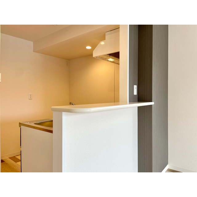 Ｒｅｇａｌｏ201号室 ☆カウンターキッチン　※同間取り部屋写真