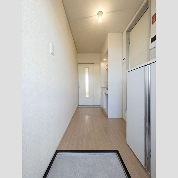 ハイツ井上　C棟203号室 玄関