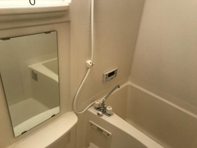 ＳＴＥＬＬＡ（ステラ） バス