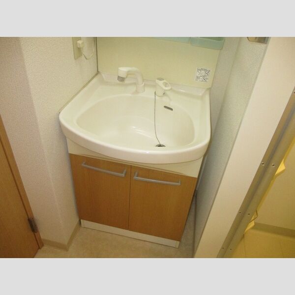 ピエトラ ポンテ105号室 洗髪洗面化粧台