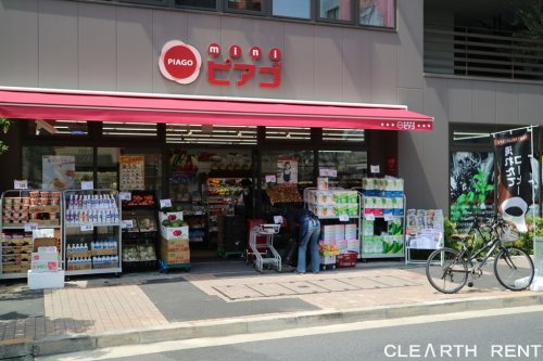 パレステュディオ広尾3階 【スーパー】miniピアゴ 広尾5丁目店まで340ｍ