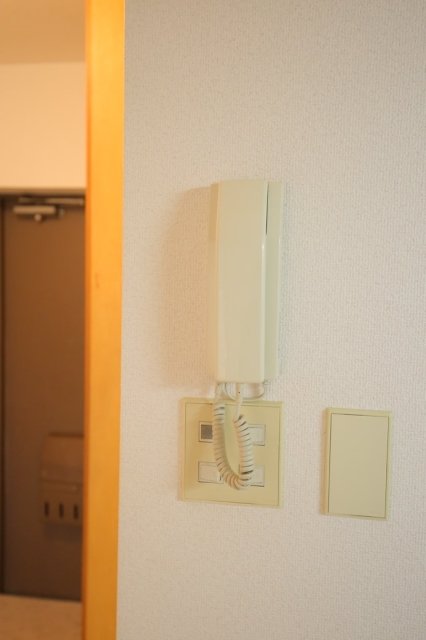 スターハイツ芦花公園1階 セキュリティ