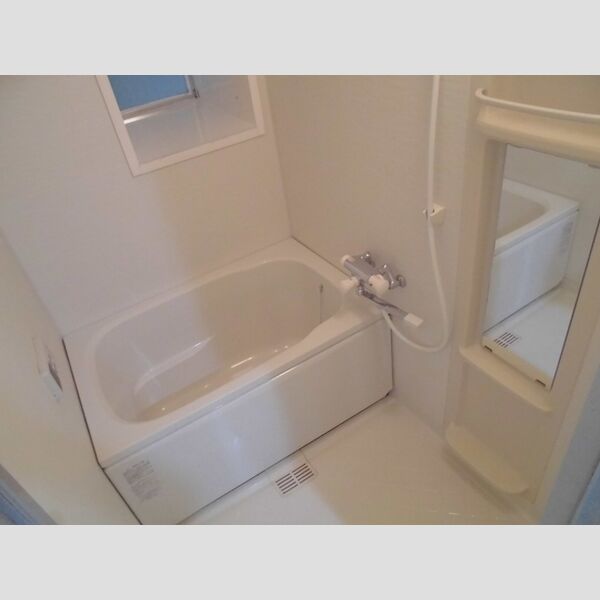 メゾン細田312号室 浴室