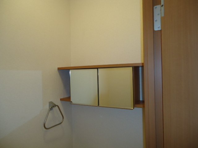 ヴィサイドグリーン トイレ収納
