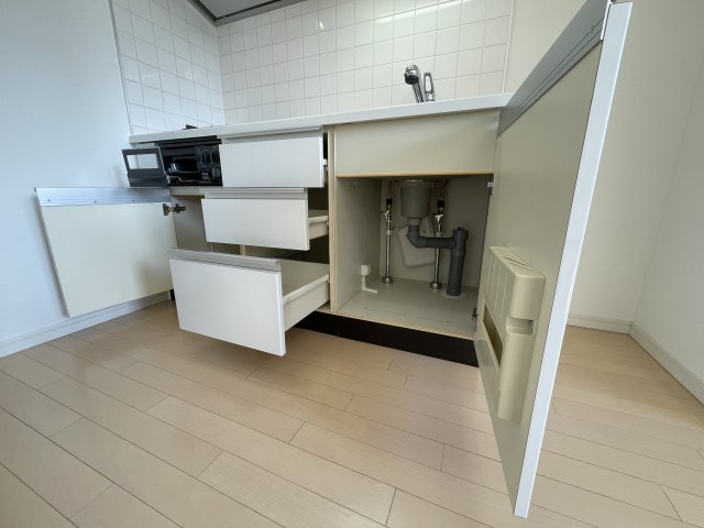 グラントゥルース東向島502号室 収納